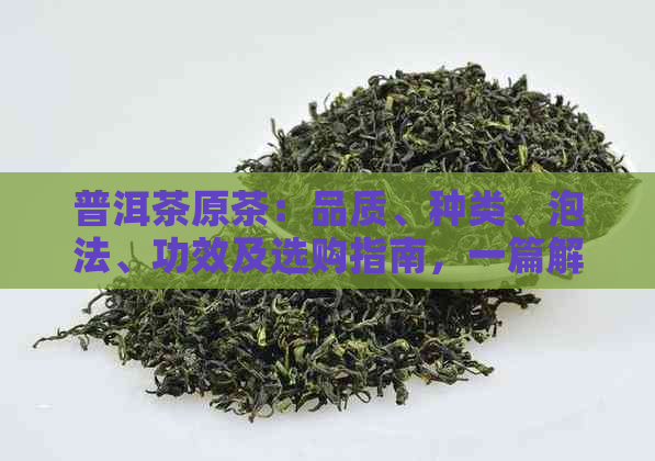 普洱茶原茶：品质、种类、泡法、功效及选购指南，一篇解答所有疑问的文章