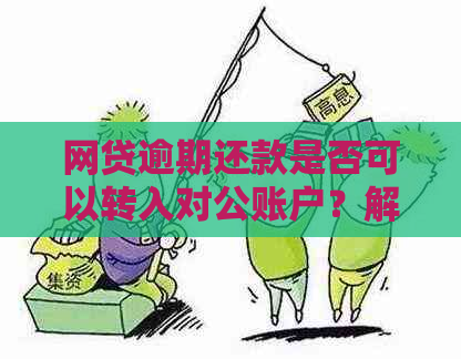 网贷逾期还款是否可以转入对公账户？解答您的疑问并全面了解相关政策