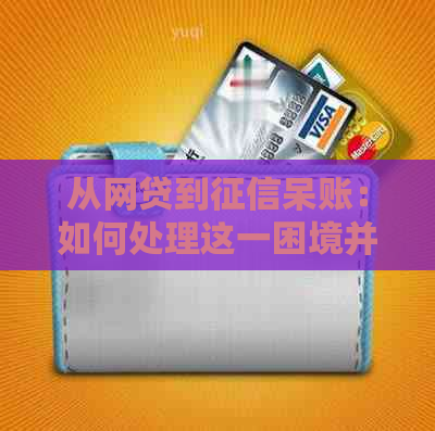 从网贷到呆账：如何处理这一困境并重振信用？