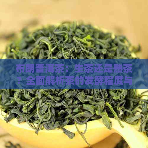 布朗普洱茶：生茶还是熟茶？全面解析茶的发酵程度与口感特点