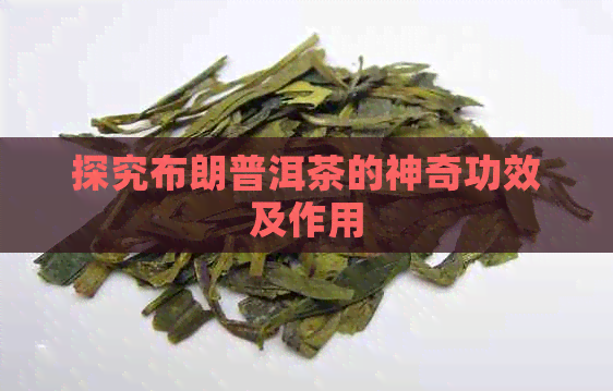 探究布朗普洱茶的神奇功效及作用