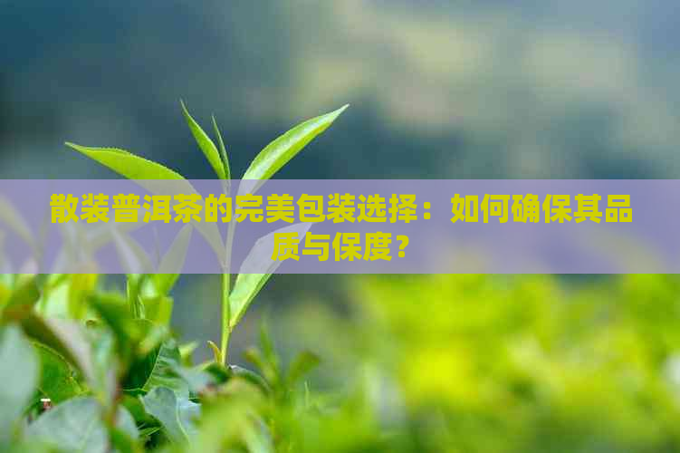 散装普洱茶的完美包装选择：如何确保其品质与保度？