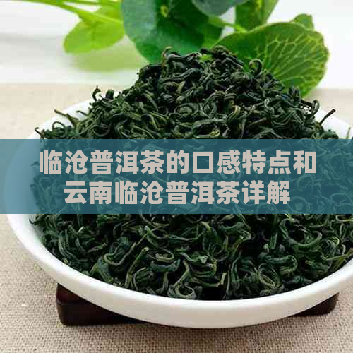 临沧普洱茶的口感特点和云南临沧普洱茶详解