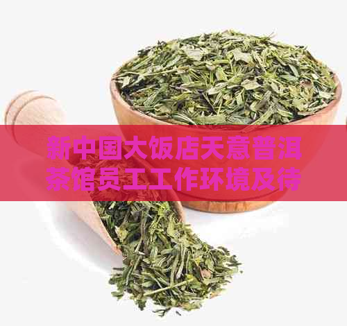 新中国大饭店天意普洱茶馆员工工作环境及待遇详述