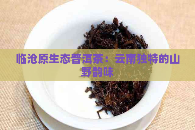 临沧原生态普洱茶：云南独特的山野韵味