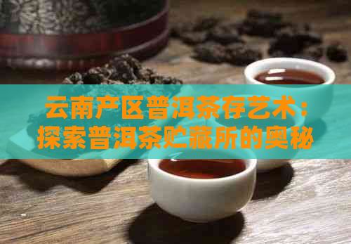 云南产区普洱茶存艺术：探索普洱茶贮藏所的奥秘