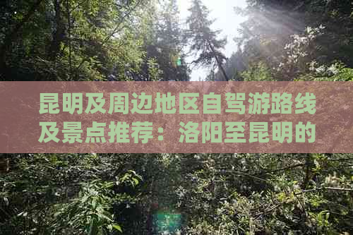 昆明及周边地区自驾游路线及景点推荐：洛阳至昆明的完美旅行攻略