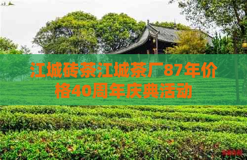 江城砖茶江城茶厂87年价格40周年庆典活动