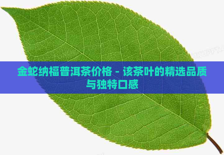 金蛇纳福普洱茶价格 - 该茶叶的精选品质与独特口感