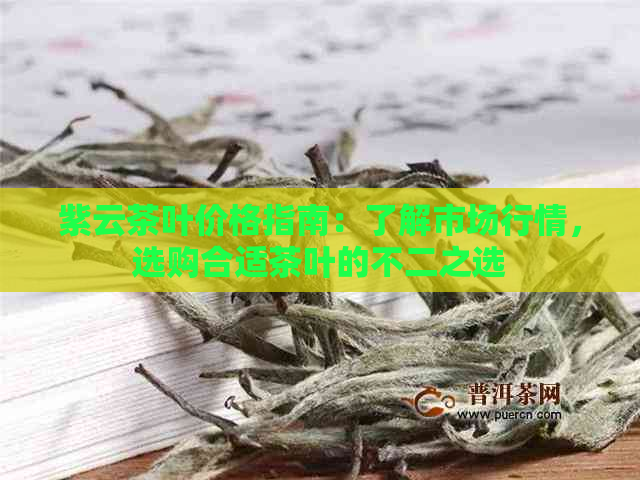 紫云茶叶价格指南：了解市场行情，选购合适茶叶的不二之选