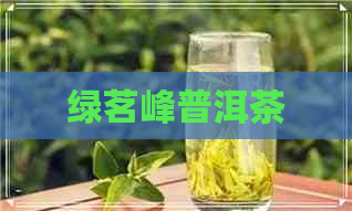 绿茗峰普洱茶