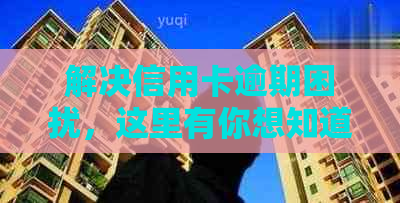 解决信用卡逾期困扰，这里有你想知道的一切