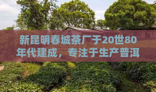 新昆明春城茶厂于20世80年代建成，专注于生产普洱茶及其他茶叶。