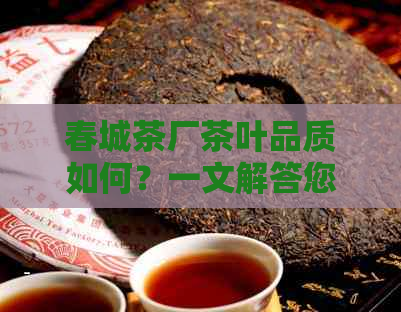 春城茶厂茶叶品质如何？一文解答您的疑问，了解春城茶叶的全方位评价