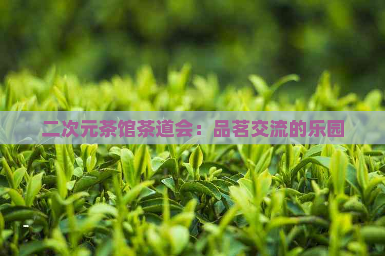 二次元茶馆茶道会：品茗交流的乐园