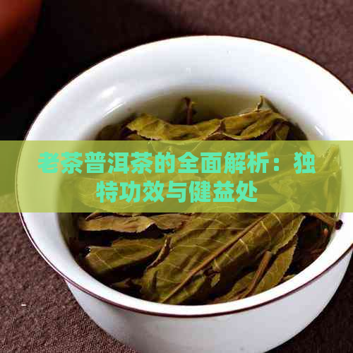 老茶普洱茶的全面解析：独特功效与健益处