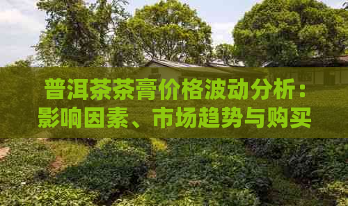 普洱茶茶膏价格波动分析：影响因素、市场趋势与购买建议