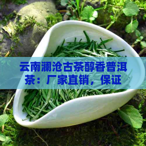 云南澜沧古茶醇香普洱茶：厂家直销，保证