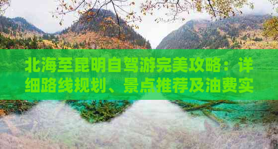 北海至昆明自驾游完美攻略：详细路线规划、景点推荐及油费实测