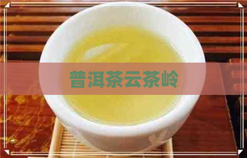 普洱茶云茶岭