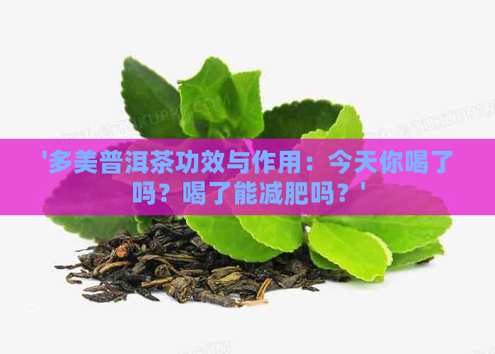 '多美普洱茶功效与作用：今天你喝了吗？喝了能减肥吗？'