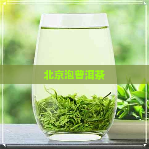 北京泡普洱茶