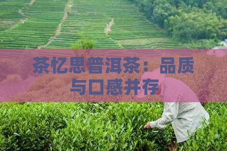 茶忆思普洱茶：品质与口感并存