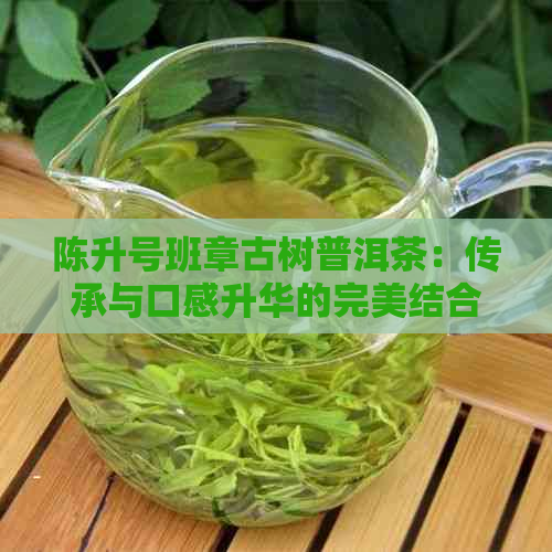 陈升号班章古树普洱茶：传承与口感升华的完美结合