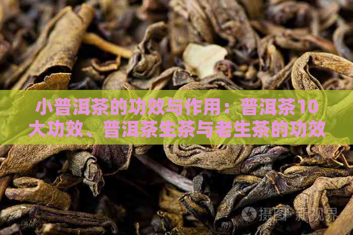 小普洱茶的功效与作用：普洱茶10大功效、普洱茶生茶与老生茶的功效与作用