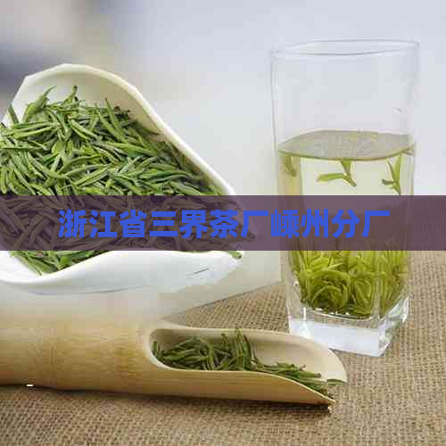 浙江省三界茶厂嵊州分厂