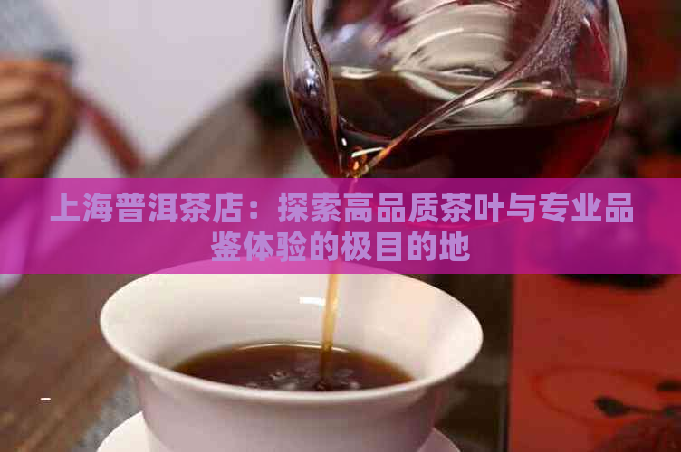 上海普洱茶店：探索高品质茶叶与专业品鉴体验的极目的地