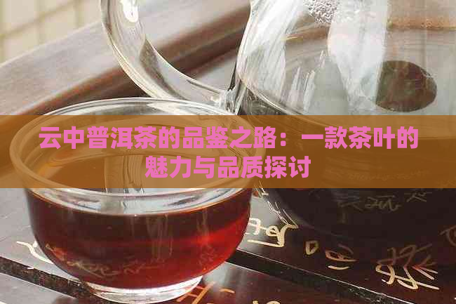 云中普洱茶的品鉴之路：一款茶叶的魅力与品质探讨