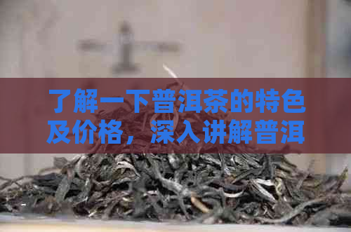 了解一下普洱茶的特色及价格，深入讲解普洱茶