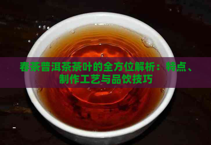 春茶普洱茶茶叶的全方位解析：特点、制作工艺与品饮技巧