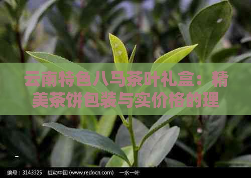 云南特色八马茶叶礼盒：精美茶饼包装与实价格的理想茶礼选择