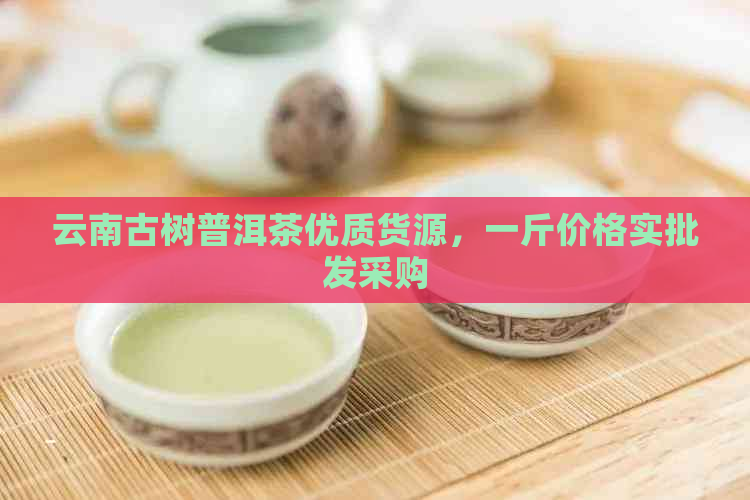 云南古树普洱茶优质货源，一斤价格实批发采购