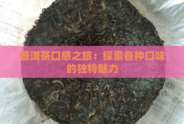 普洱茶口感之旅：探索各种口味的独特魅力