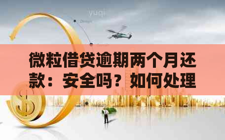 微粒借贷逾期两个月还款：安全吗？如何处理？后果是什么？