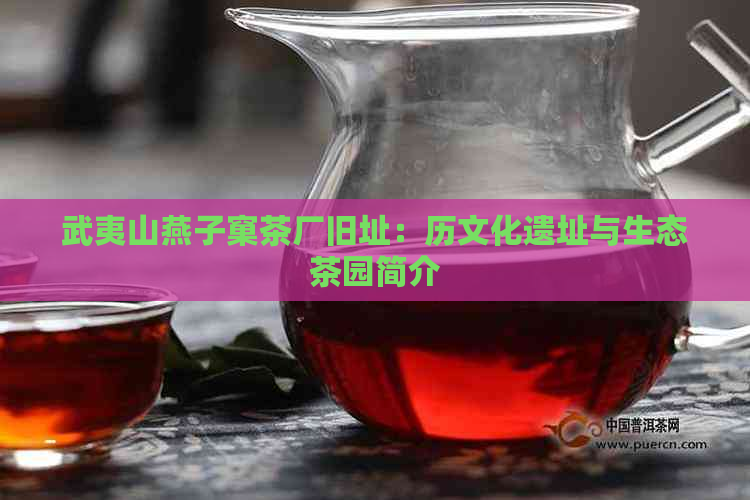 武夷山燕子窠茶厂旧址：历文化遗址与生态茶园简介