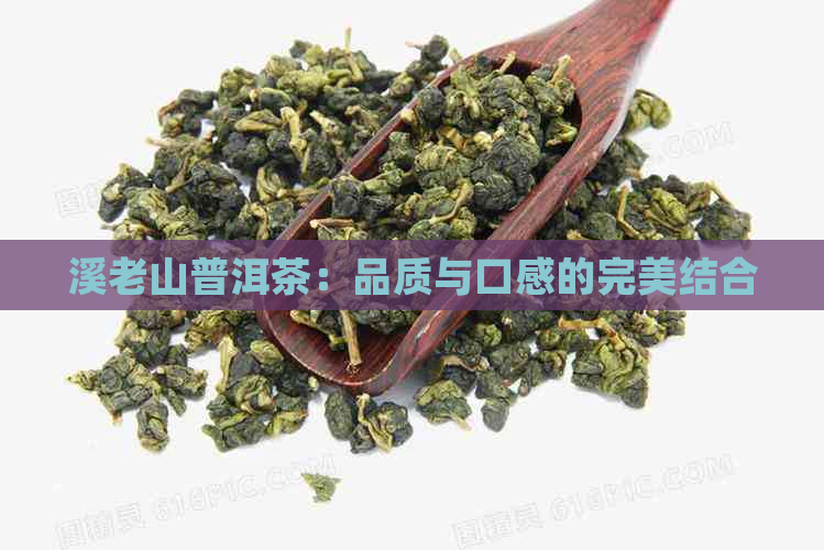 溪老山普洱茶：品质与口感的完美结合