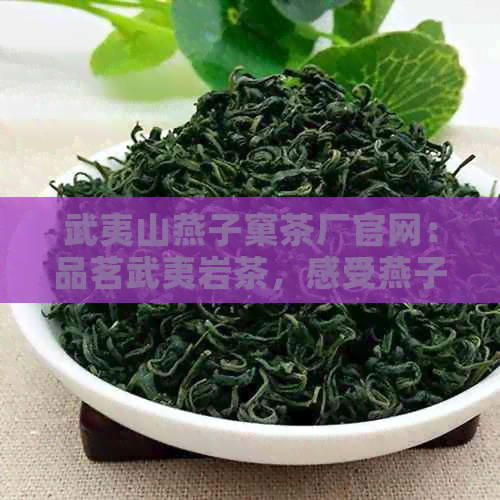 武夷山燕子窠茶厂官网：品茗武夷岩茶，感受燕子窠茶文化之美与历传承