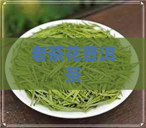 老茶花普洱茶