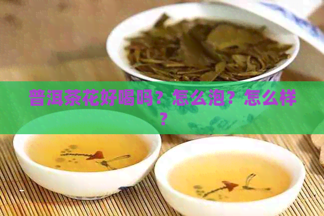 普洱茶花好喝吗？怎么泡？怎么样？