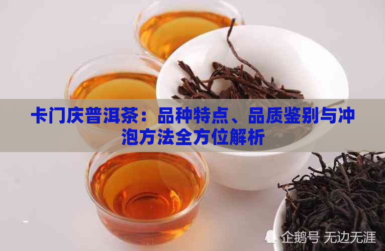 卡门庆普洱茶：品种特点、品质鉴别与冲泡方法全方位解析