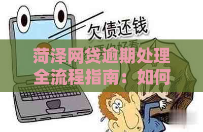 菏泽网贷逾期处理全流程指南：如何应对与解决资讯问题