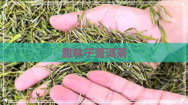 甜林子普洱茶