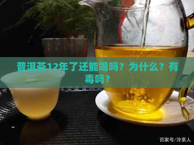 普洱茶12年了还能喝吗？为什么？有吗？