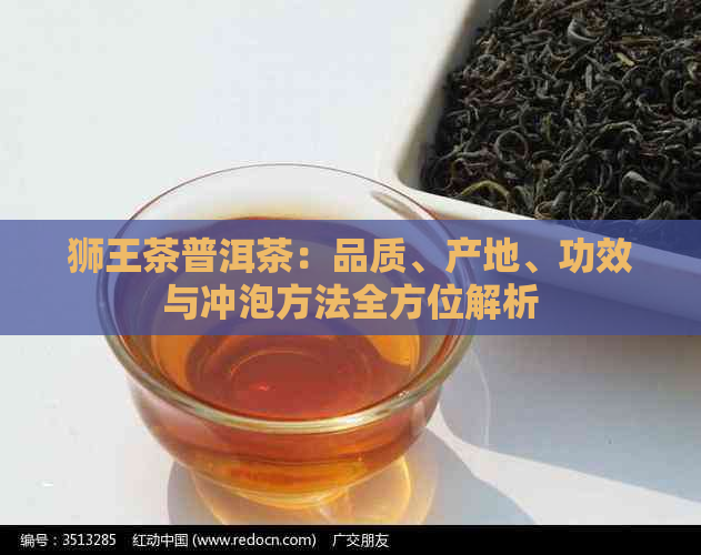 狮王茶普洱茶：品质、产地、功效与冲泡方法全方位解析