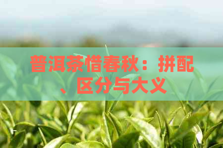 普洱茶惜春秋：拼配、区分与大义