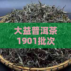 大益普洱茶1901批次的独特含义与解析：一场品鉴宴